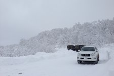 冬天，去看白色的北海道