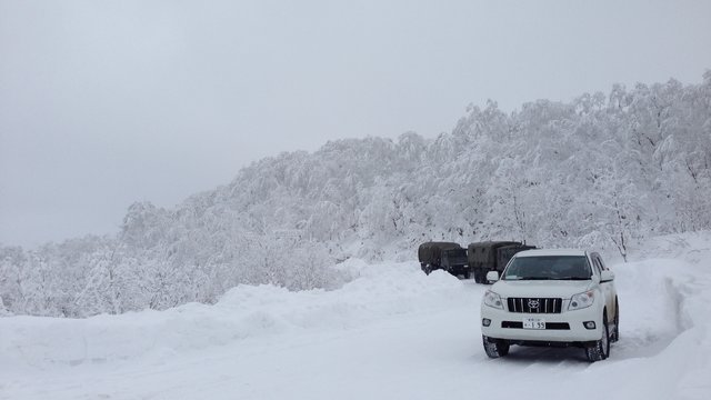 微锦囊 冬天 去看白色的北海道 穷游网 移动版