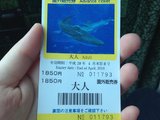 冲绳那霸到海博园水族馆万座毛的6种路线 Naha公交大体验