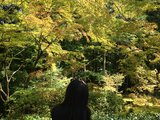 我的旅行立体书（日本卷）——大阪、京都、奈良九日游
