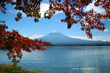 秋季富士山看些啥