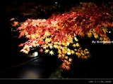 红叶季尾声的关西京都奈良大阪5日红叶狩之旅（图多！附药妆+购物经验）完结