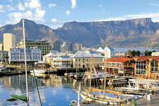 开普敦土著购物指南