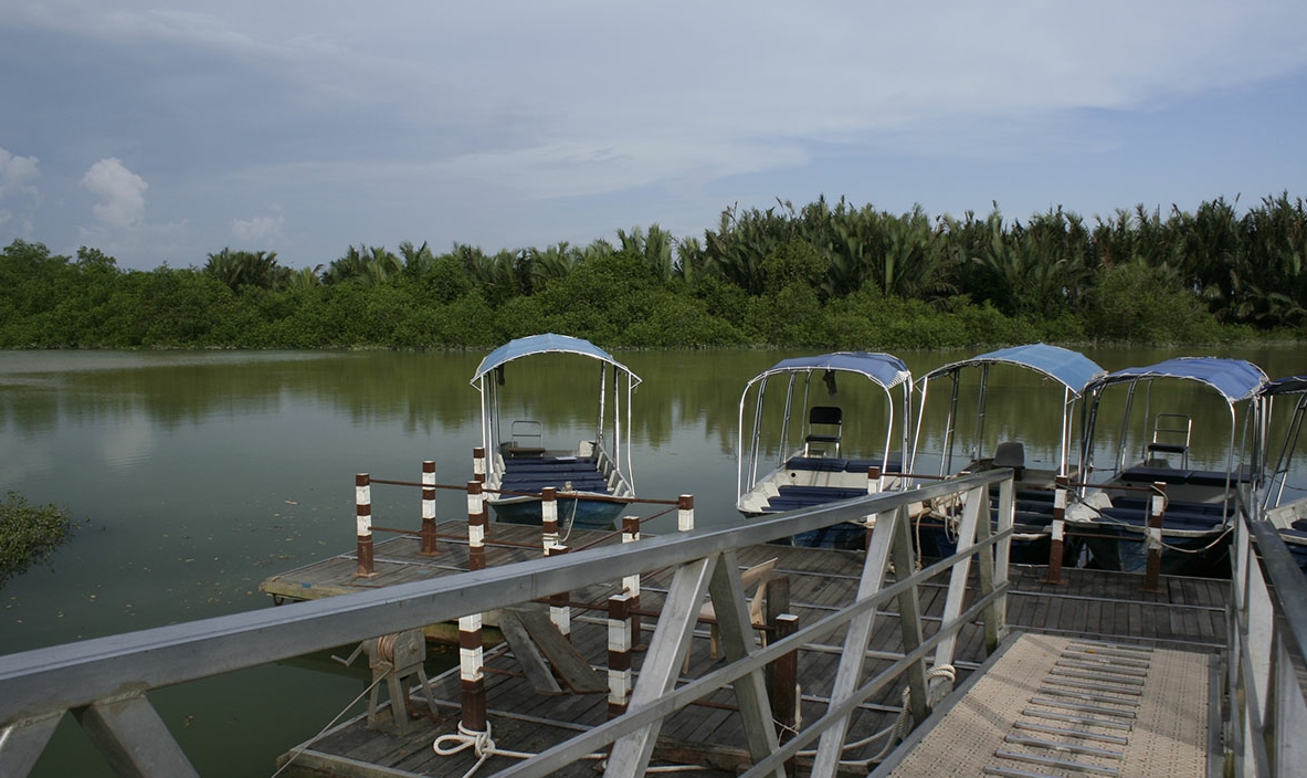 萤火虫 包含萤火虫的全部内容 穷游网