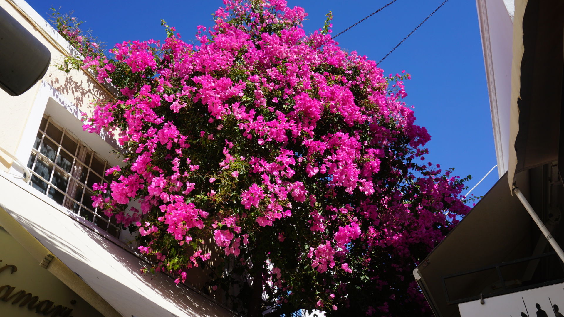 去圣托里尼几月份去适合