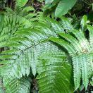 哥本哈根,斯德哥尔摩和奥斯陆的治安问题