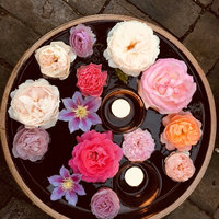 美签被AP一个半月,最终issued,只给了一年