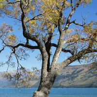 露全球回报集团GLOBAL REFUND在the mall的