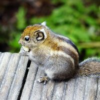 瑞士签证是否需要销签