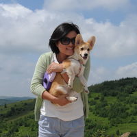 非洲 申根 德国旅游签证 3天出签 公务普通护照