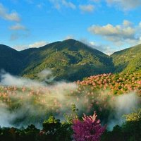 沙尼亚 瑞典 挪威 丹麦 捷克 斯洛伐克 匈牙利 奥