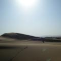 大漠沙海