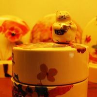 第一次申请申根签 去西班牙 需要面签吗?