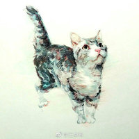 2018年夏土耳其安全局势