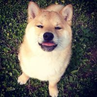 [提问]荷兰多次往返申根签入其它欧盟国