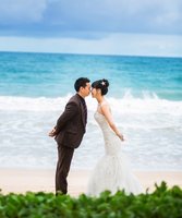 安哥拉长毛兔儿