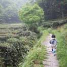 英国申请西班牙签证(爱丁堡篇)