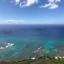 申根法签有效期内更换新护照,是否可以直接拿