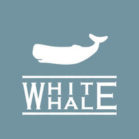 白鲸之旅