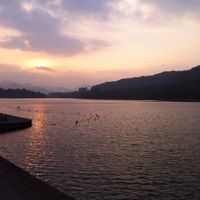 一月18去泰国清迈自助游,可惜语言不通怎么办