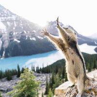 7月1-20号温哥华到多伦多自驾游,时间可微调,