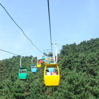 接连签下加拿大和新西兰多次往返签证(附给签