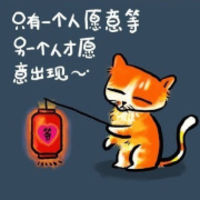 胖呆猫