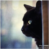 关于JR PASS东京到函馆的问题