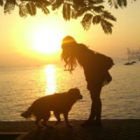 新加坡广州大使馆-非快捷城市单身女签证成功