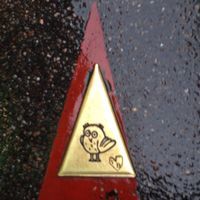 美国签证西海岸自由行英文行程单