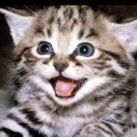 意大利、希腊自由行上海申根签证,从递材料到