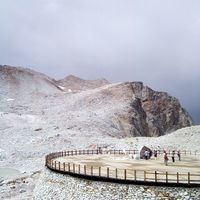 申根签证申请收不收股票交割单?