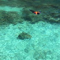 急,在线等!俄罗斯旅游签证过期一天,回国影响大