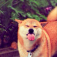人字拖先生yy