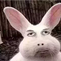 三年多次日本签证出签后,突然发现签证有效期