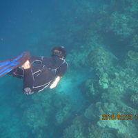 经历及提交材料,内附解释信+催签信】加拿大签