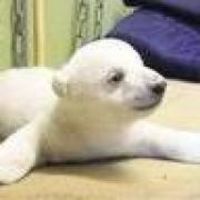 2017.07.27 坐标北京,夫妻美签面试,遭遇221G