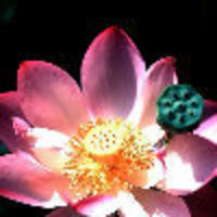 大利 瑞士经典二十一日游】欧洲旅游计划 - 穷