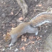 2017年6月,中智沈阳 法国驻沈阳领事馆 护照白