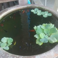 【粗心姐弟申请德国旅游签证全经历】内附大学