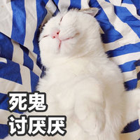 猫邪_Qe