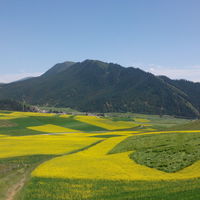 史师傅