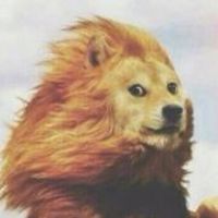 在读研究生美签B2专业敏感check一周拿到10年