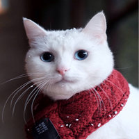 【北京送签】 2017年3月底 捷克申根签证 夫妻