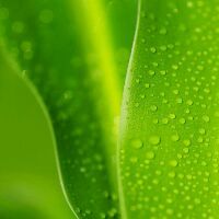 意大利米兰机场最新退税流程(昨天刚回来)