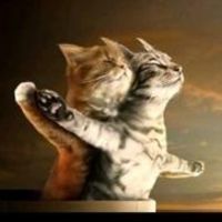 美签中信代传递流程,告诉你160表提交后如何更