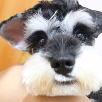 美国签证拒签后再次申请二签(美签2000)的建议