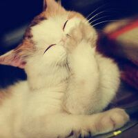 白本护照法国申根成功签出,分享一下细节