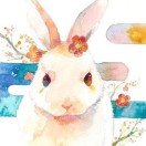 瀲summer