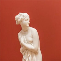 到澳洲旅游签证后,是否只需要打印visa grant n